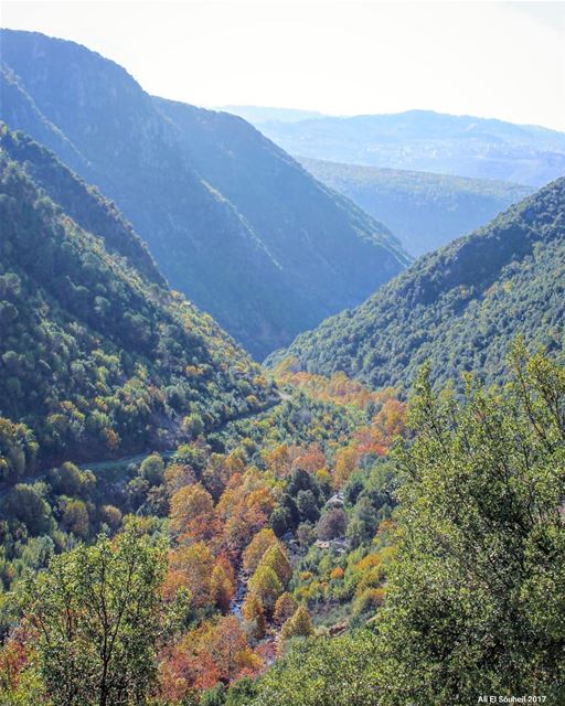  tb  kfardebian  valley  nature  mountains  colors ... (Kfardebian,Mount Lebanon,Lebanon)