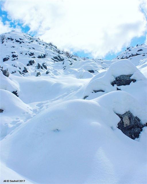  tb  laqlouq  snow  mountains  mountlebanon  winter   nature  lebanon ... (El Laqloûq, Mont-Liban, Lebanon)