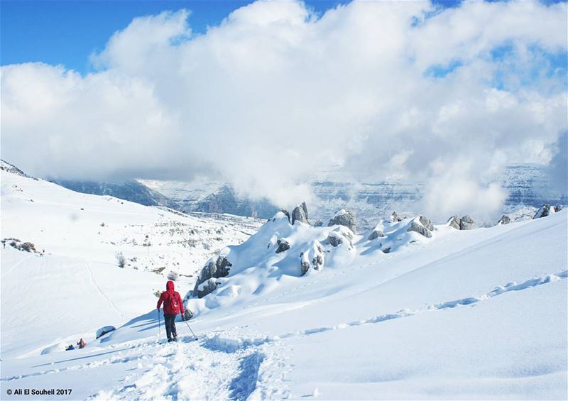  tb  snow  snowshoeing  mountains  winter  laqlouq  mountlebanon  sky ... (El Laqloûq, Mont-Liban, Lebanon)