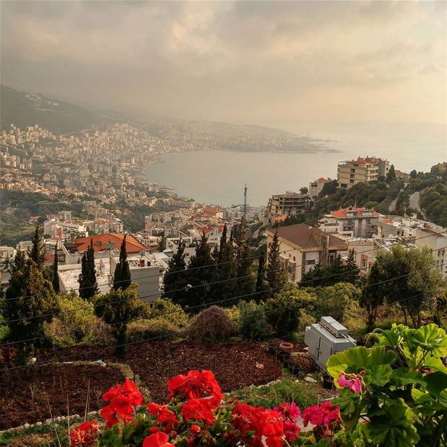 Tea at Claire's. Overcast day so the view was dimmed but still stunning. ... (Adma, Mont-Liban, Lebanon)