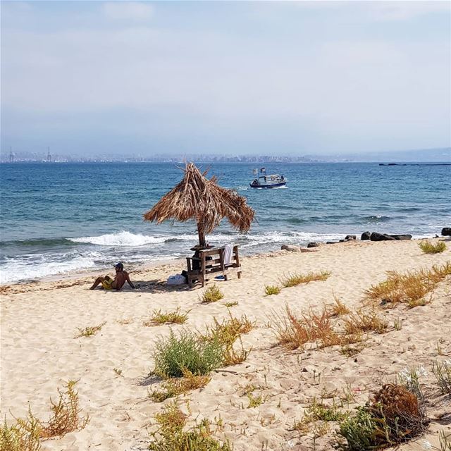 TGIF 🏖 (Rabbits Island- El Mina.)