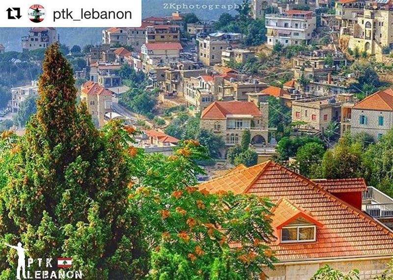 Thank you so much for the lovely feature and Repost @ptk_lebanon 🙌🏼😊✨・・