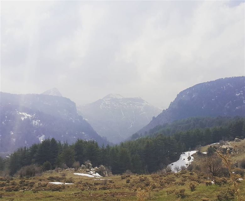 The amazing Tannourine Cedars Reserve  tannourine  cedars  reserve ...