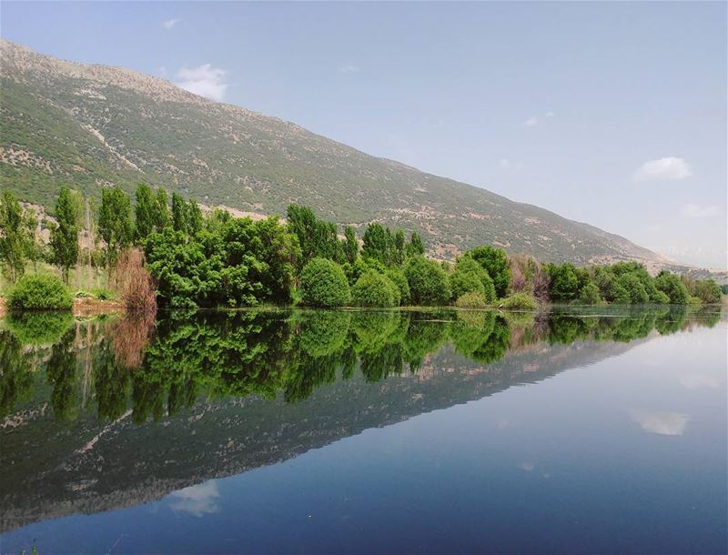 The beautiful lands 💚 (West Bekaa)