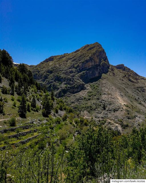 The beautiful Lebanon 🇱🇧 (Tannurin At Tahta, Liban-Nord, Lebanon)