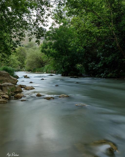 The beautiful south ... photography photographer photooftheday... (Zawtar)