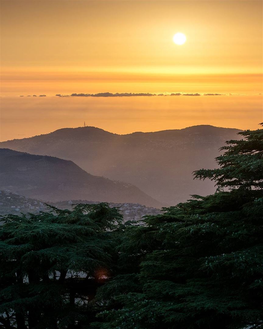 The beautiful sunset of the Cedars Of Lebanon➖➖➖➖➖➖➖➖➖➖➖➖➖➖➖🔹ISO- 100🔹 (Arz el Bâroûk)