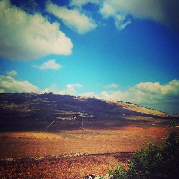 The beautiful thing about Lebanon is that you can easily tell what season it is just by looking at the ground. 