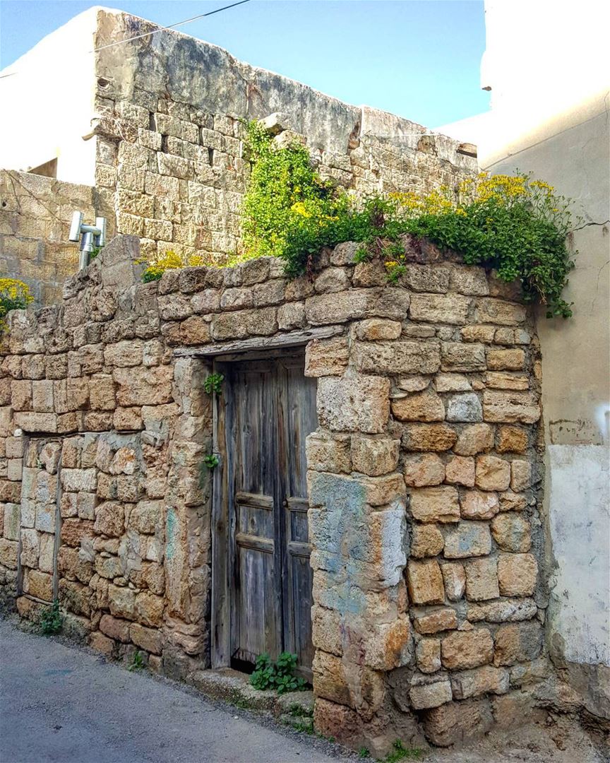 The Beauty of Modesty 💚💚 ....... Lebanon  batroun  northlebanon ... (Batroûn)