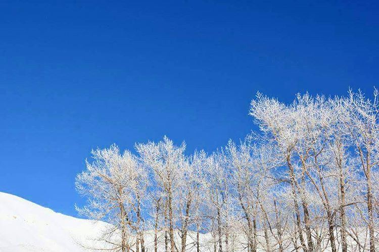 The beauty that comes after the stroms❄❄❄Photo credit : Joe... (Arez Bcharre)