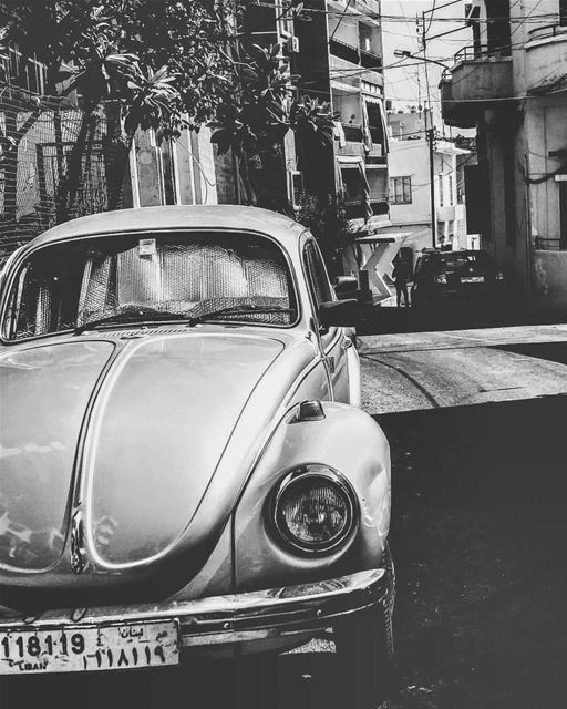 √√The best REVENGE is not giving a $hiT.√√ lebanon lebanese car old gold... (Beirut - Ashrafieh)