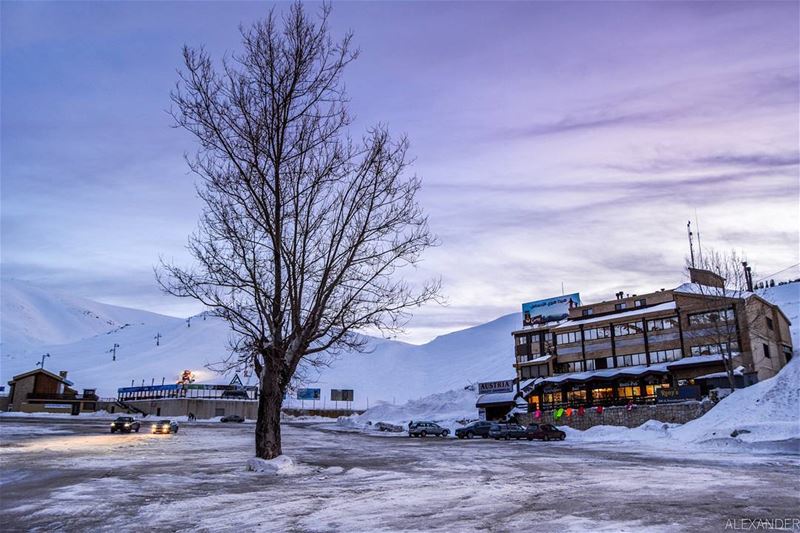 The blue hour | Mzaar-Kfarzebian ski resort a few hours ago 21-1-2018 ... (Mzaar Kfardebian)