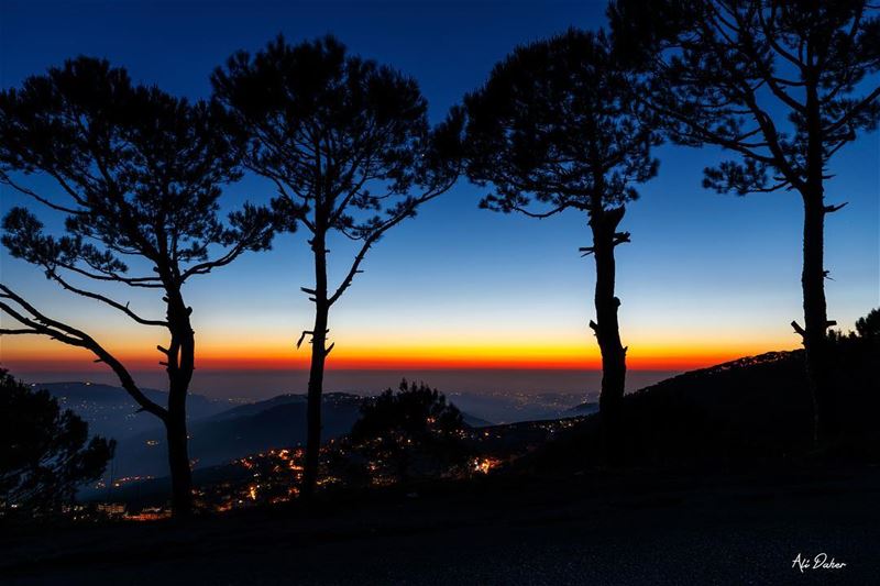 The blue hour .... sunset sunsetporn sunsetpics landscape... (Hammana)