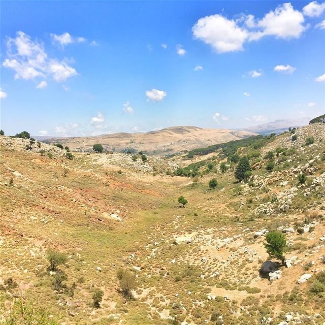The center of the... (Barouk - Shouf)