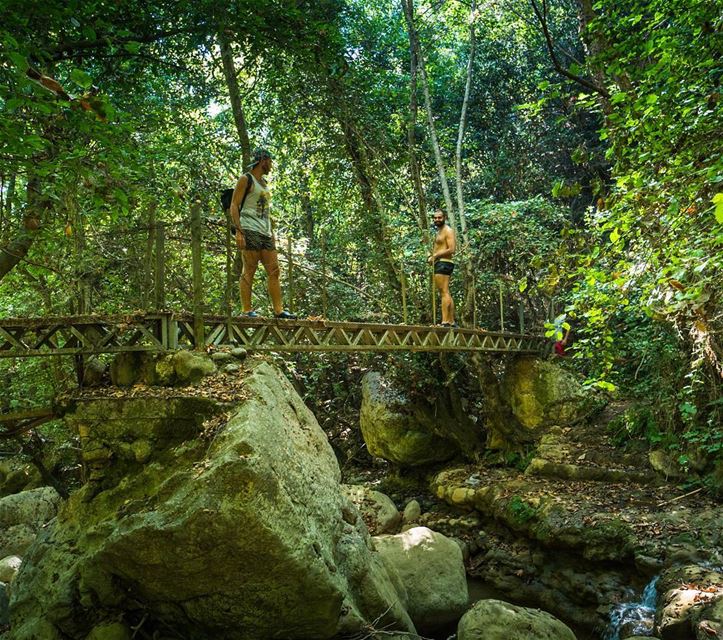 The foot bridge  lebanon ... (Rechmaya)