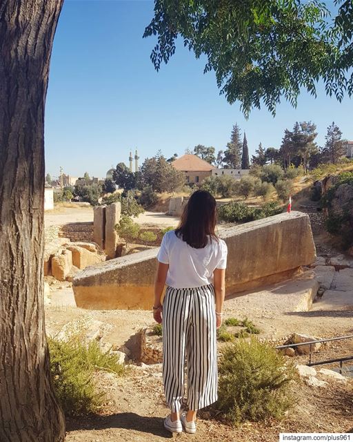 The forgotten stones of Baalbeck 🗿 (Stone of the Pregnant Woman)