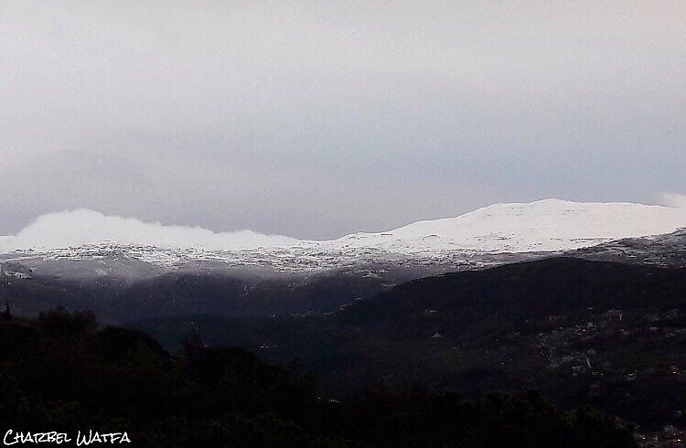 The future lies before you, like a field of fallen snow; be careful how... (Ouyoun Broumana)