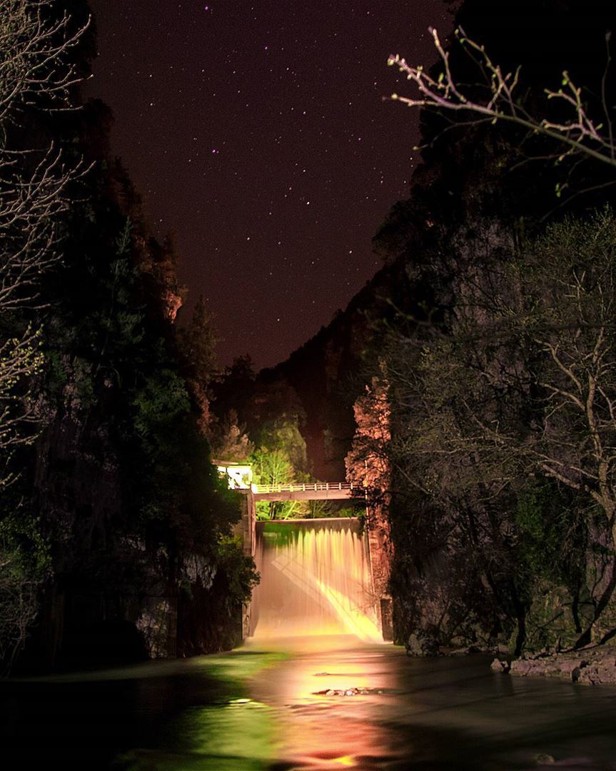 the gate to wonderland ..... nikonmea_earth nikon nature... (Chouwen)