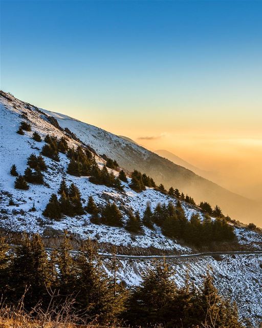 The golden hour | Mount Barouk sunset 7-1-2018. The fog reflected... (Maaser El Shouf Cedar Reserve محمية ارز معاصر الشوف)