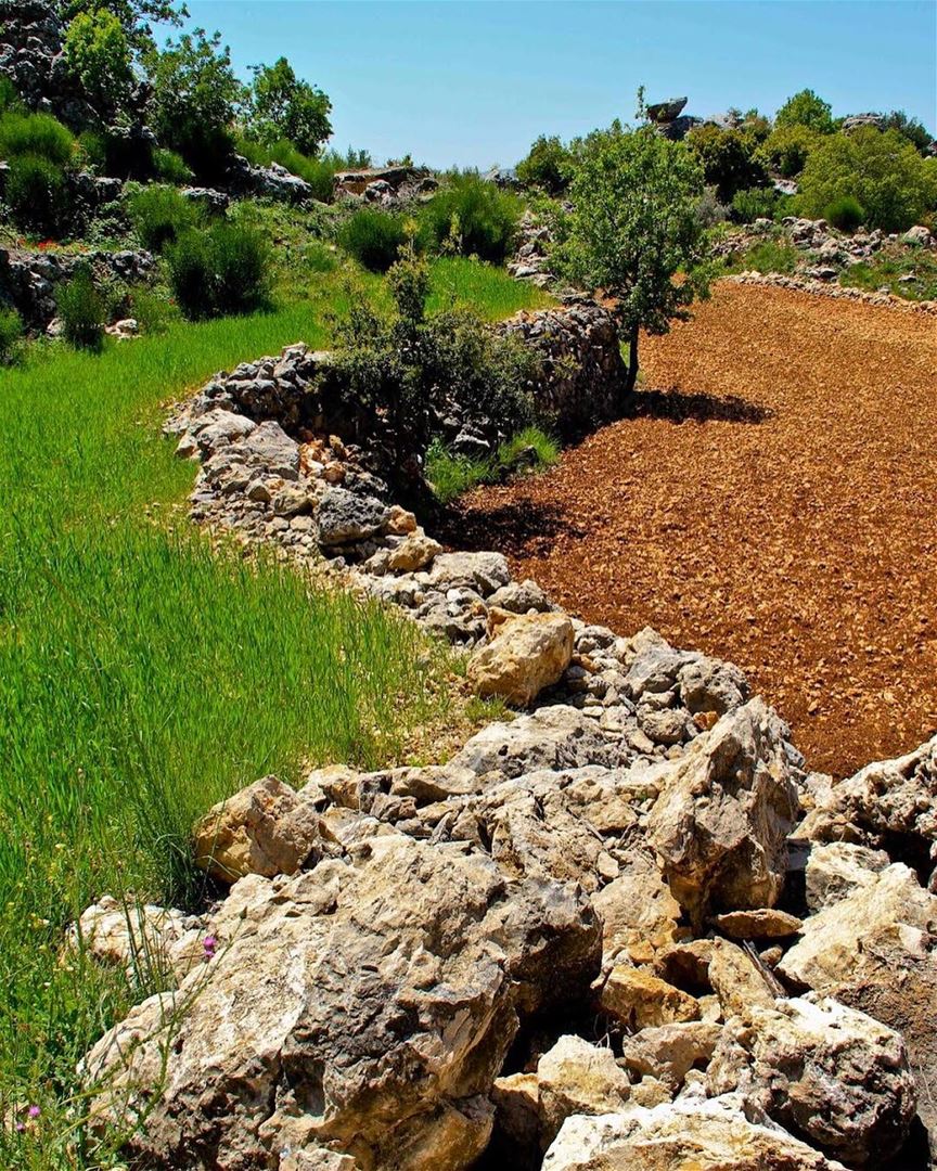 The grass ain’t greener on the other side 🌱.... livelovejezzine ... (Jezzîne, Al Janub, Lebanon)