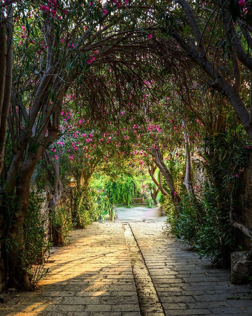 .The green tunnel, Byblos, Lebanon  LiveLoveByblos ... proudlylebanese... (Byblos, Lebanon)