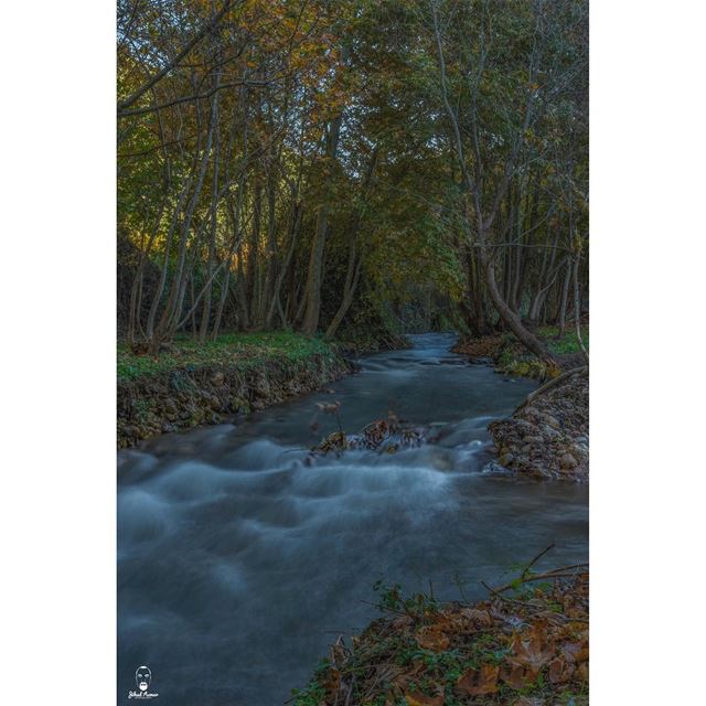 The hidden beauty of Ouyoun el Samak!!!... (Ouyoun El Samak Waterfalls)