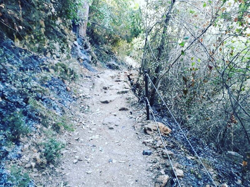 The  JabalMoussa  Chouwan trails will not be open to visitors for the next...