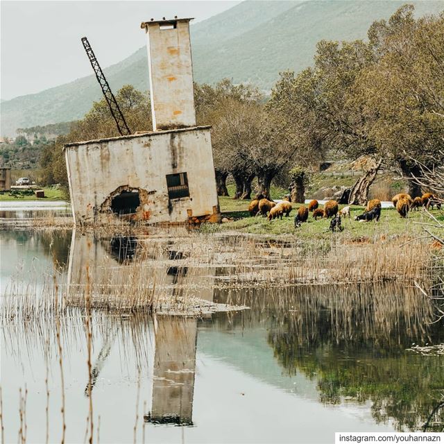 The LandEscape 🍃 nature ... (Bekaa Valley)