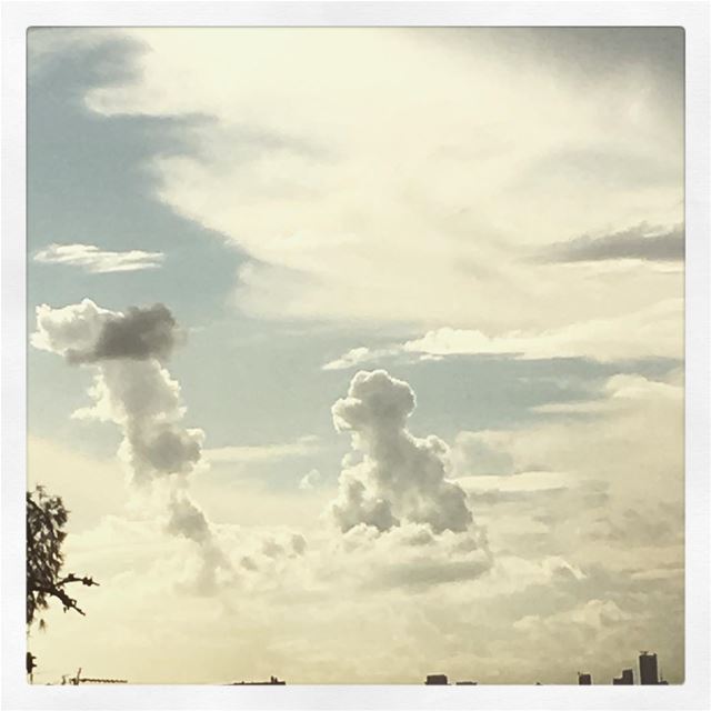 The little  dog and its friendly  cat ... (Beirut, Lebanon)