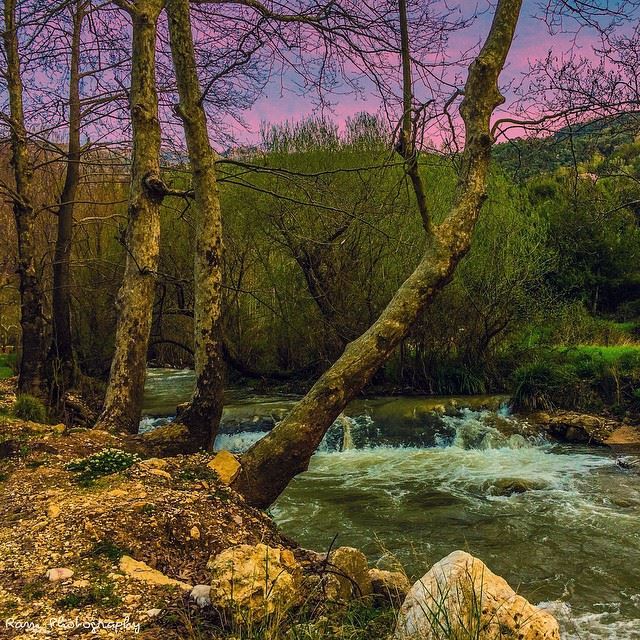 The monotony and solitude of a quiet life stimulates the creative mind..... (Bsâtîne El Aossi, Liban-Nord, Lebanon)