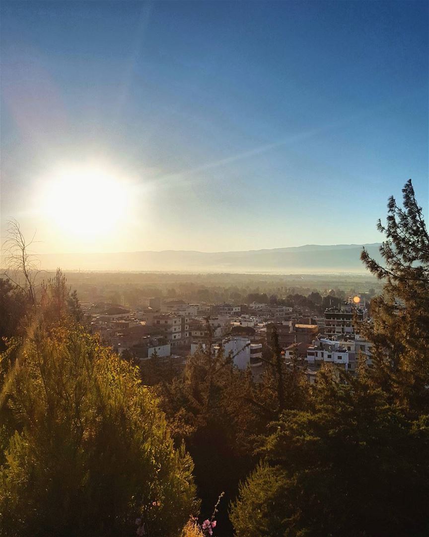 The  MORNING  RisingSun. 🌄Great... (Beqaa Governorate)