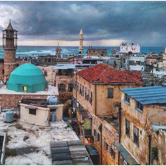 The Old City Saida ,