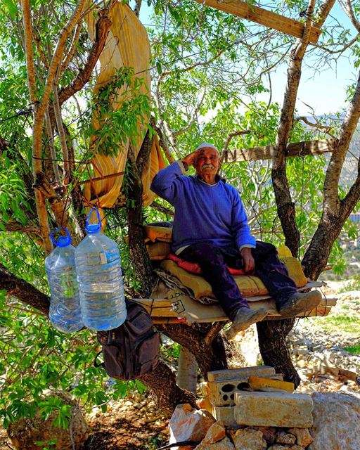 The Old Man in the Tree. He tells us his name is Abu Dahab, the Father of... (Hasbaya)