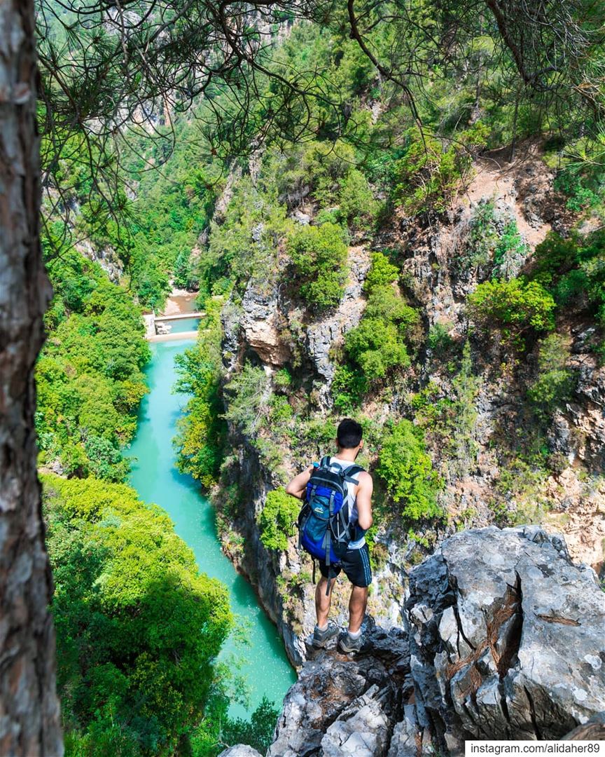 The other side of shouwen lake......... landscapephotography... (Chouwen)