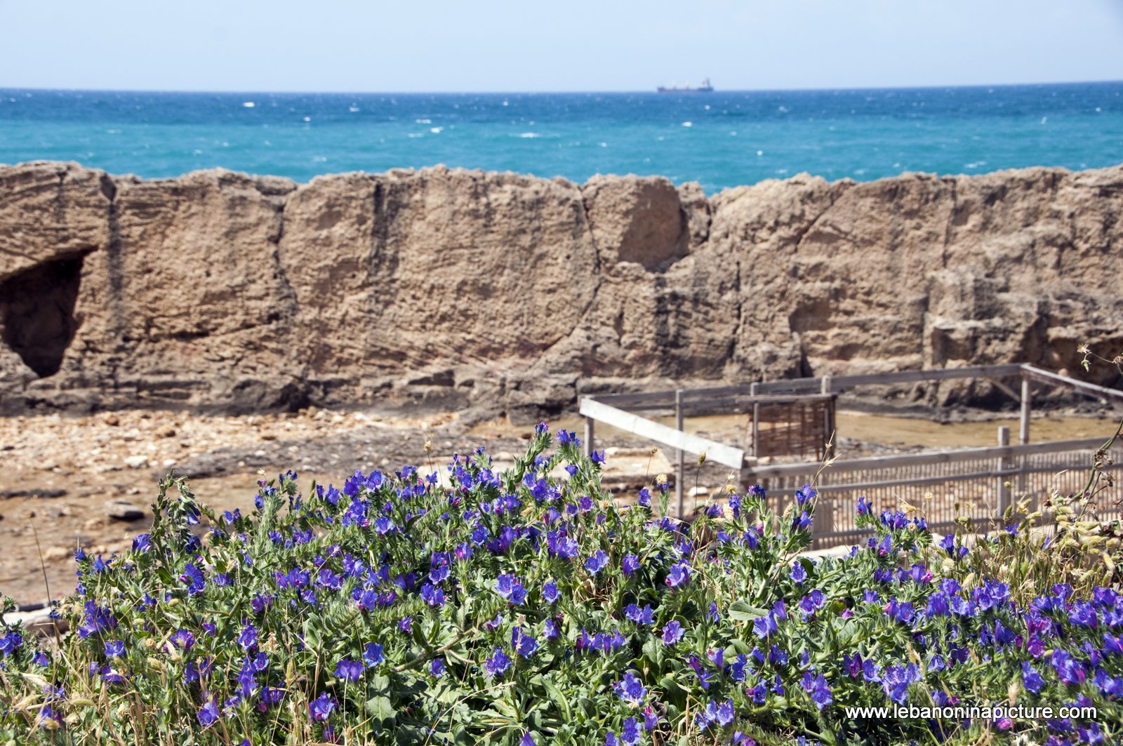 The Phonecian Wall Batroun (Phonecian Wall, Batroun, Norh Lebanon)