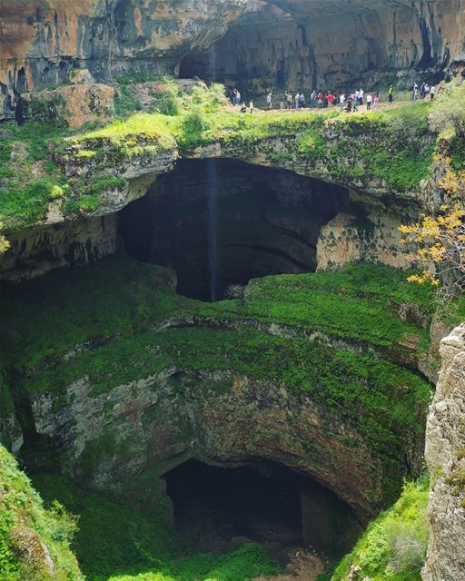 The place does remind you too of the Avatar movie, doesn't it? 💧💧