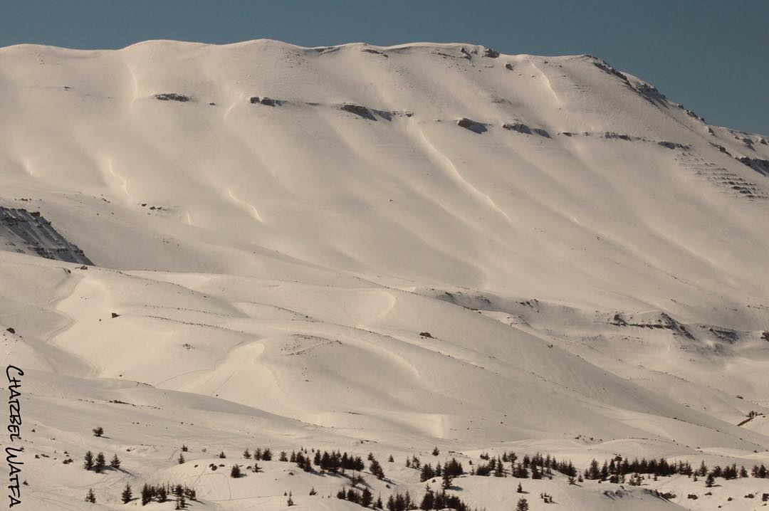 The places untouched by humanity, they seem to be touching my heart the... (Cedars of God)