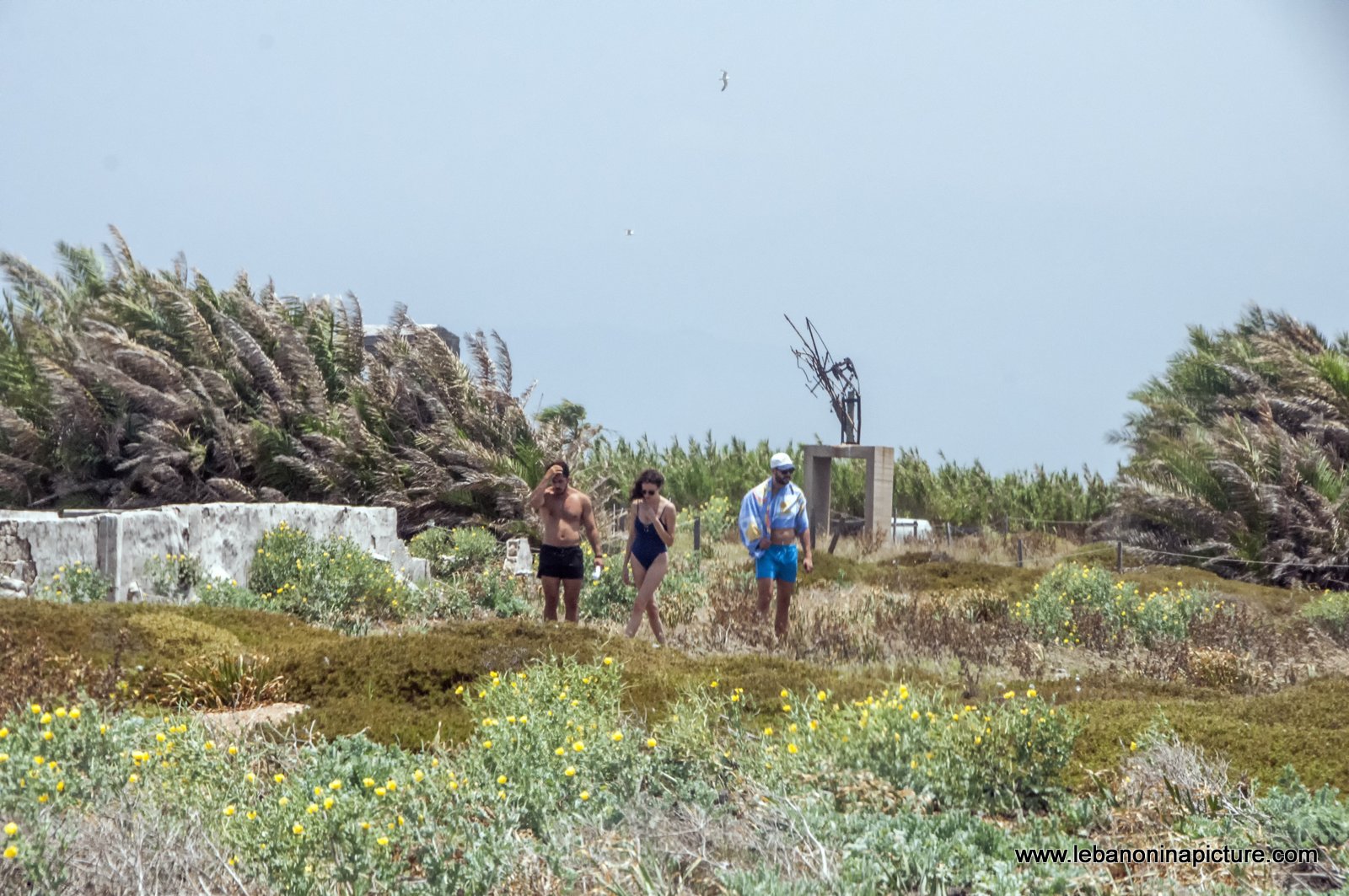 The Rabbit Island , North Lebanon جزيرة الارانب ، شمال لبنان (Palm Island)