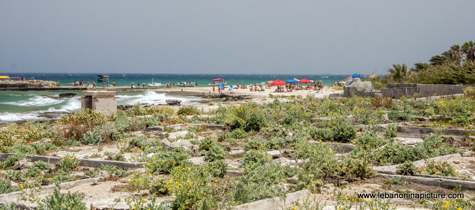 The Rabbit Island , North Lebanon جزيرة الارانب ، شمال لبنان (Palm Island)