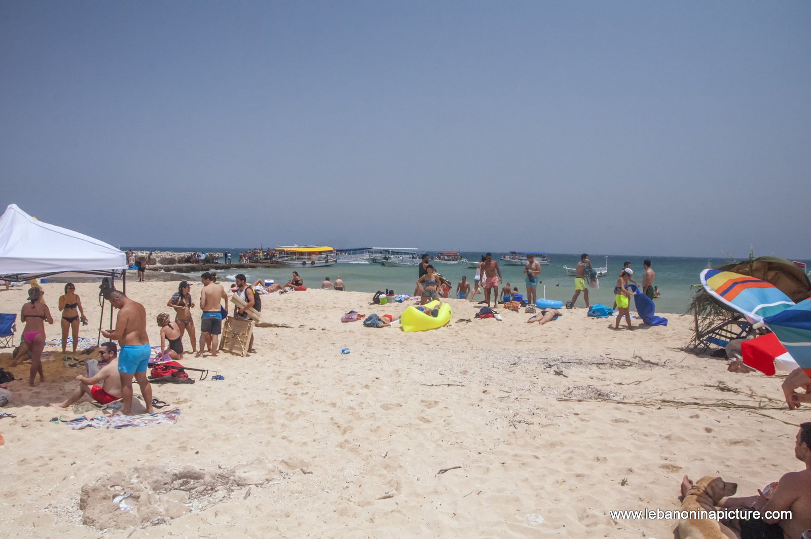 The Rabbit Island , North Lebanon جزيرة الارانب ، شمال لبنان (Palm Island)