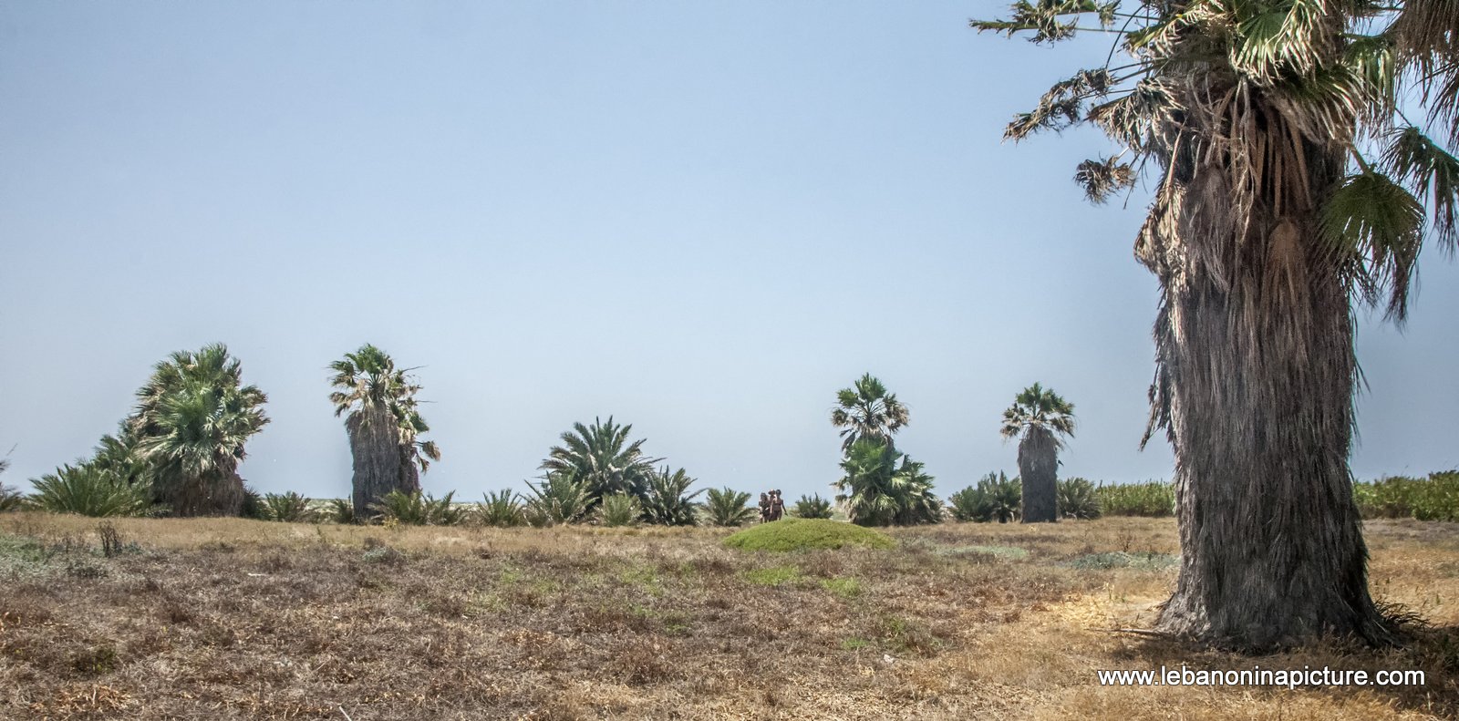 The Rabbit Island , North Lebanon جزيرة الارانب ، شمال لبنان (Palm Island)