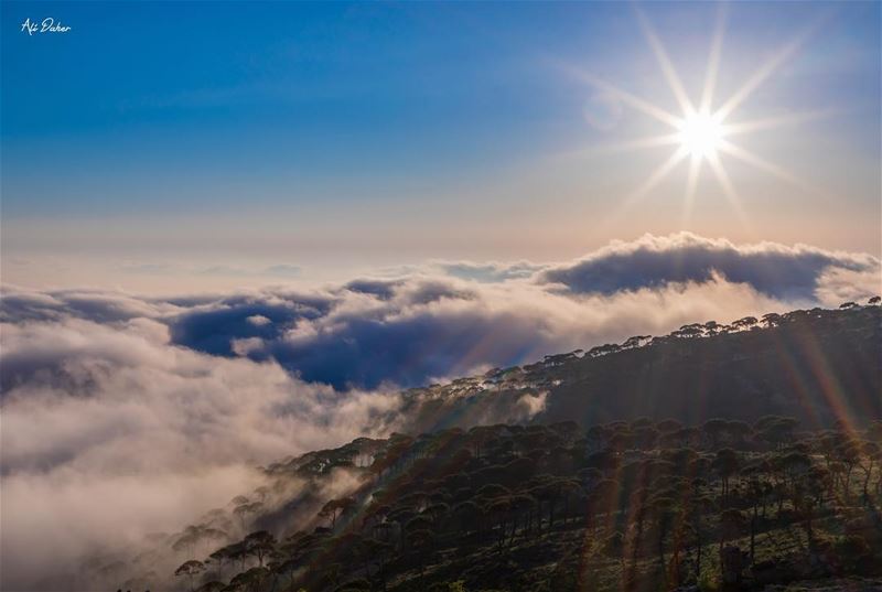 The real beauty of nature...... sunset sunsetporn sunsetpics... (Falougha, Mont-Liban, Lebanon)