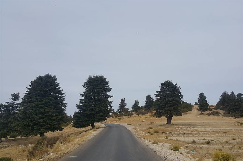 The road to nowhere  lebanon  naturelovers  roadtrip  akkar  amazing ...