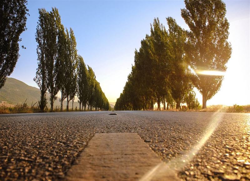 The road to nowhereEarly Morning Wanders with @lebanese.wanderers... (`Ammiq, Béqaa, Lebanon)