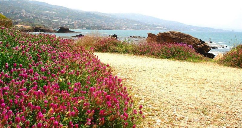 The silence of nature is very real. It surrounds you... you can feel it.... (Byblos - Jbeil)