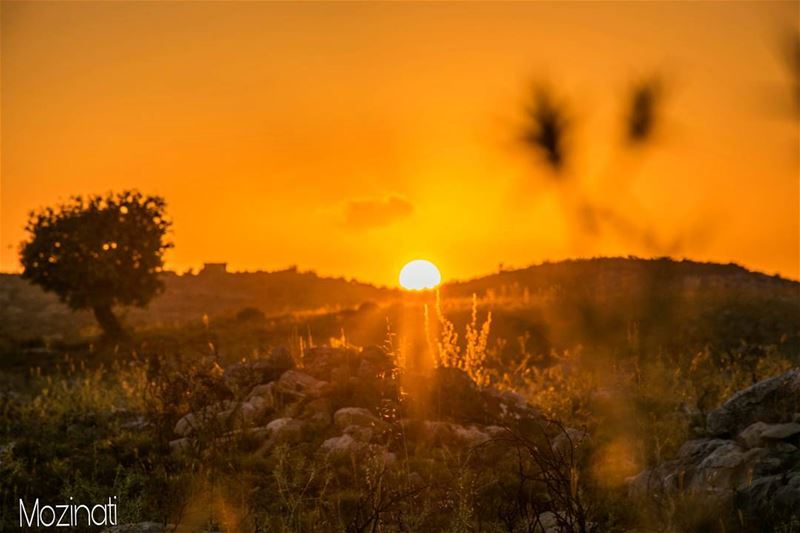 The Sky takes on Shades of Orange During sunrise and susnet, the colour... (Al Janoub)