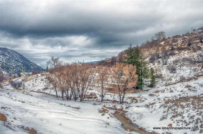 The Small River of Belou3 Bal3a (Laklouk, Lebanon)