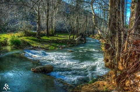 The stream's in an Autumn mood🍂✨  (Kfarhelda)