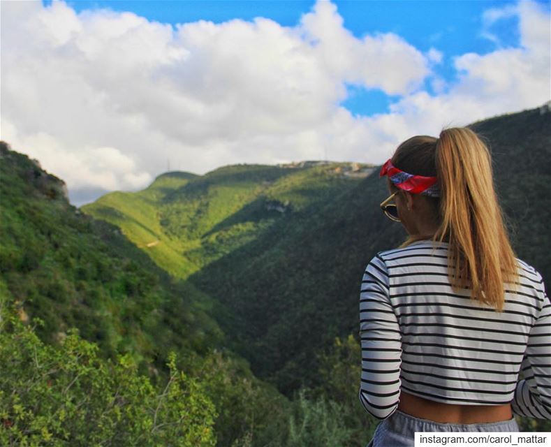 The sun always shines after the storm 🌳☀️ (Lebanon)