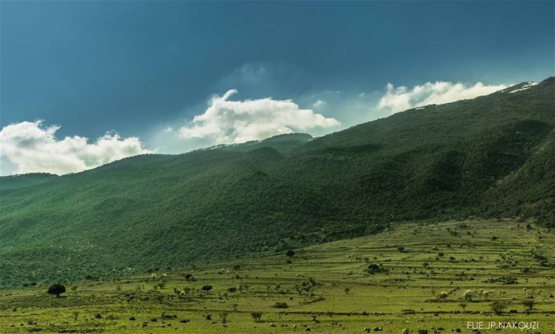 The tonic of wilderness nikon  photography  lebanese  nature  wild  green... (West Bekaa)